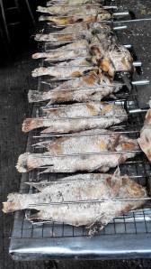 Long row of salted grilled fish! Awesome